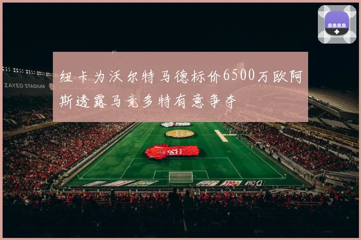 纽卡为沃尔特马德标价6500万欧阿斯透露马竞多特有意争夺