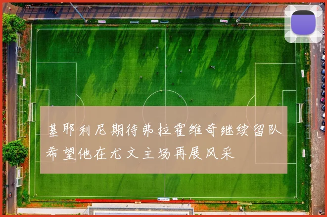 基耶利尼期待弗拉霍维奇继续留队希望他在尤文主场再展风采